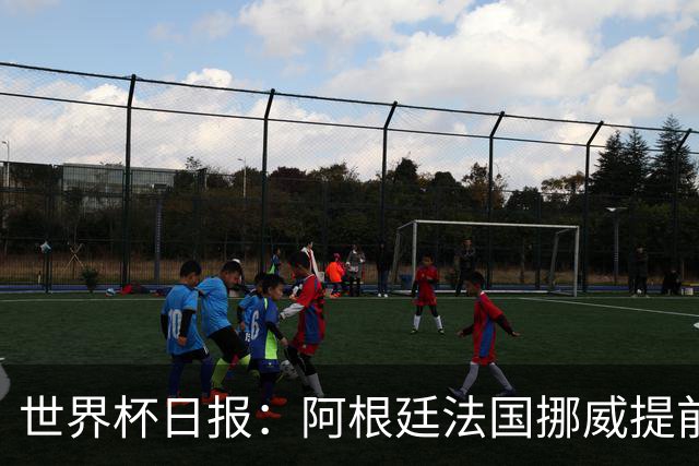 世界杯日报：阿根廷法国挪威提前出线 约旦两连败出局