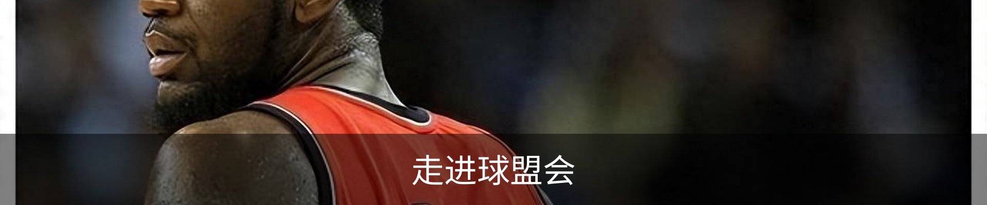 走进球盟会